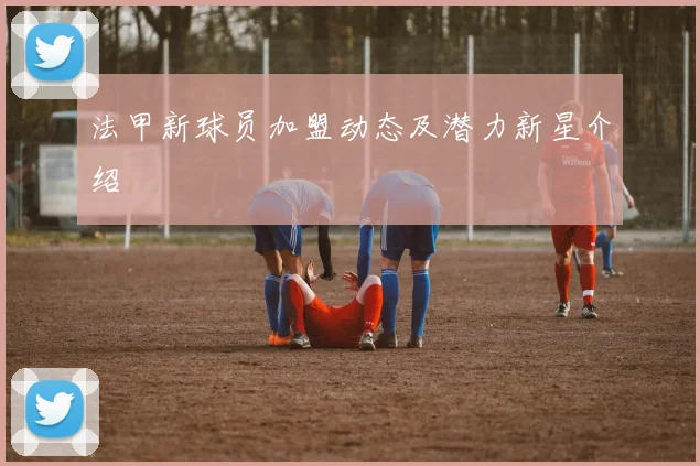 法甲新球员加盟动态及潜力新星介绍
