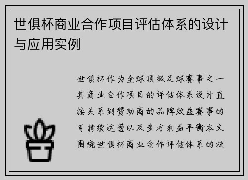 世俱杯商业合作项目评估体系的设计与应用实例